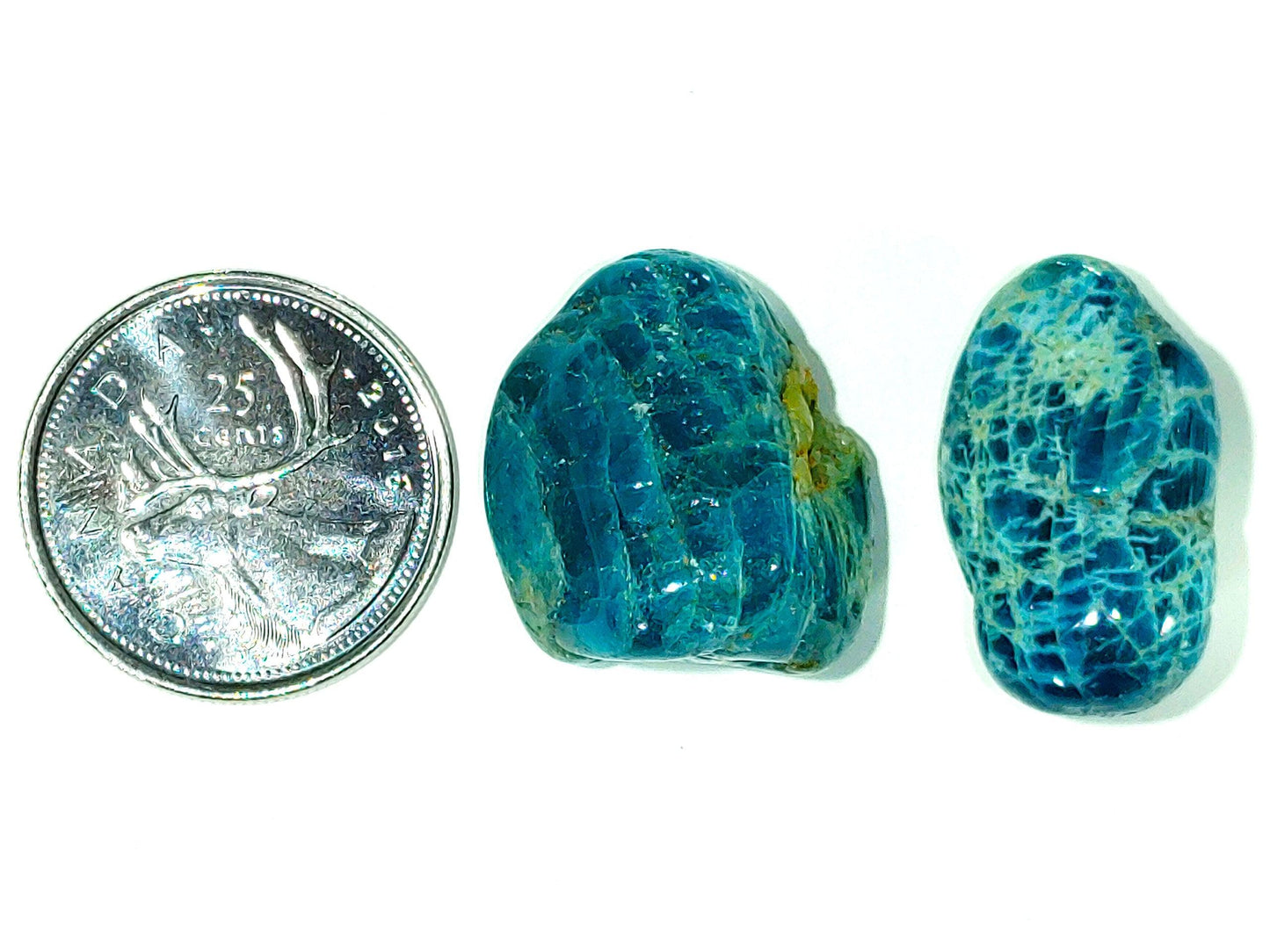 Blue Apatite - Tumbled - PoCo Inspired