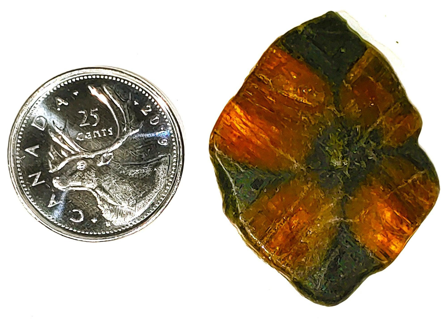 Chiastolite - Cabochon - PoCo Inspired