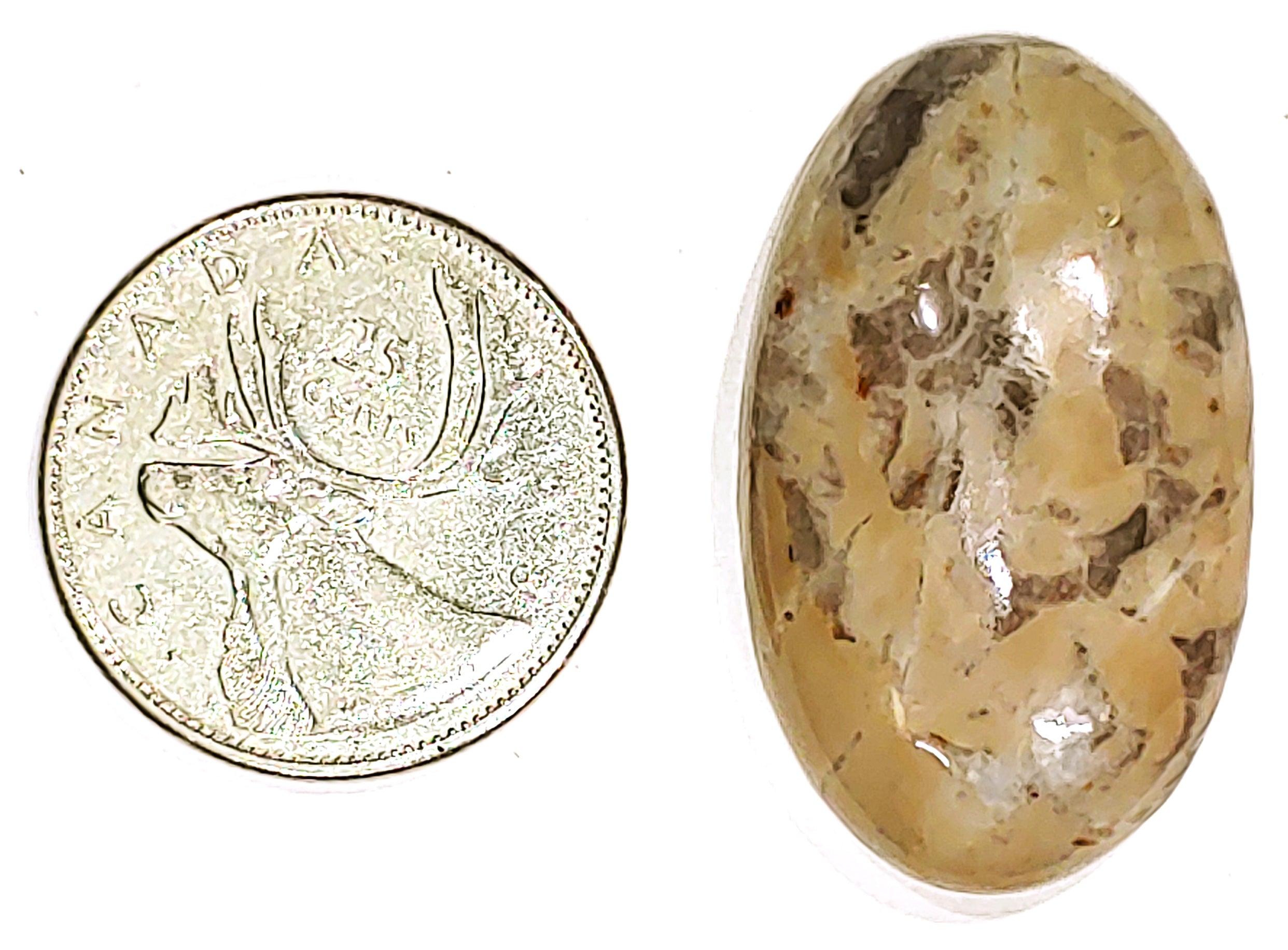 Get your Coconite Jasper and more at PoCo Inspired, Canada's favorite ...