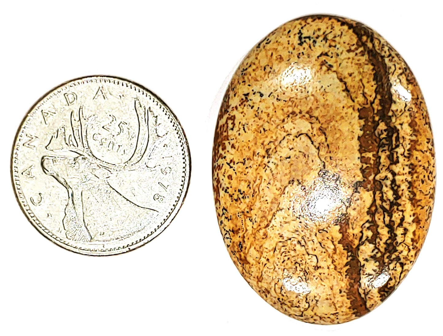 Picture Jasper - Cabochon - PoCo Inspired