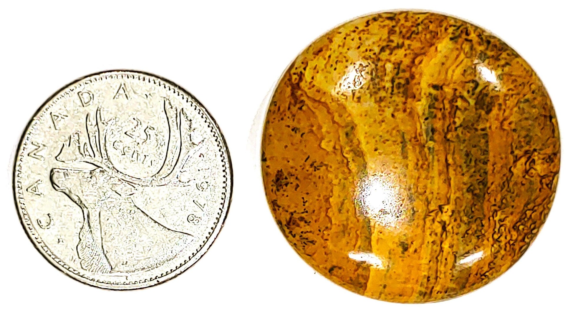 Picture Jasper - Cabochon - PoCo Inspired